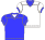 15-Royal/White