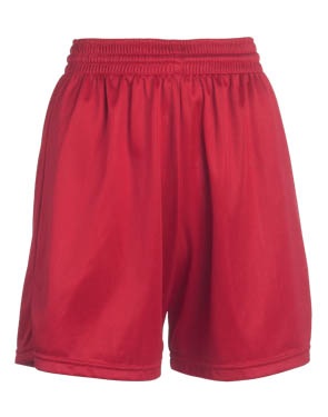 4243 Adult Mini-mesh volleyball short, 4213 Youth mini-mesh volleyball short