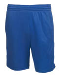 Teamworks baseball shorts 4451