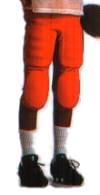 Youth Football Pants